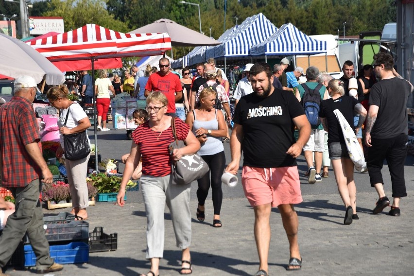 Tłumy ludzi na giełdzie w Sandomierzu w sobotę, 27 sierpnia. Słoneczna pogoda przyciągnęło kupujących z całego regionu. Zobacz zdjęcia