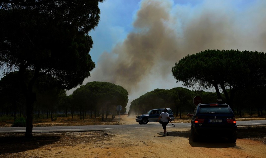 Andaluzja. To "głodny potwór", mówią o pożarach, które szaleją w tym regionie Hiszpanii już od tygodnia (WIDEO)