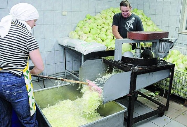 Kwaszarnia Anny i Marka Sienkiewiczów ma wdrożony system HACCP. Pracowali nad tym przez kilka lat.