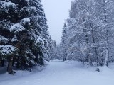 Zima na Dolnym Śląsku ma się znakomicie. Tak wyglądają obecnie okolice Jakuszyc [ZDJĘCIA]