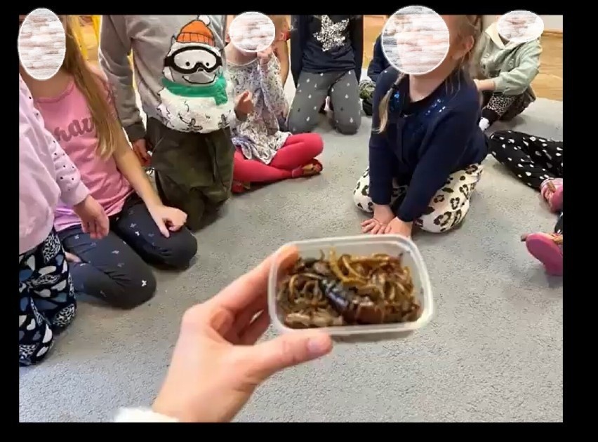 Afera w przedszkolu we Wrześni. Dzieciom podawano do zjedzenia żywe owady?