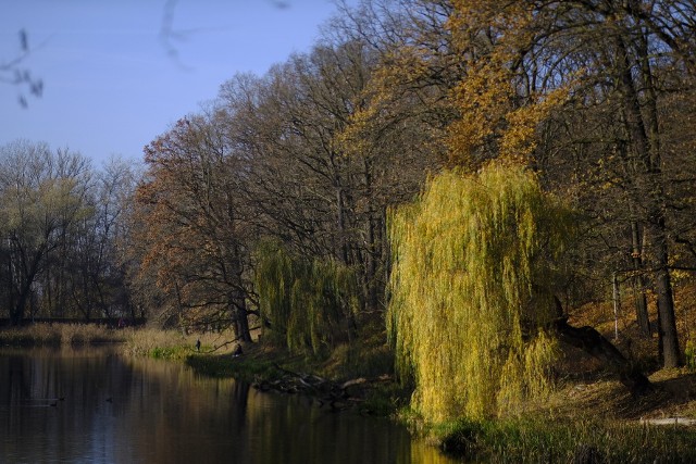 Park Miejski przy ul. Bydgoskiej - zielone płuca Bydgoskiego Przedmieścia, a zarazem jeden z najstarszych parków publicznych w Polsce.