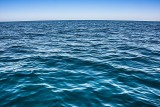 Temperatura w oceanach wciąż bije rekordy ciepła. Naukowcy są zaniepokojeni