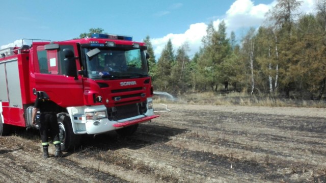 11 zastępów straży pożarnej gasiło pożar nieopodal Radyni w powiecie głubczyckim. Spaleniu uległo 14 hektarów jęczmienia oraz 1 hektar młodnika. W działaniach gaśniczych pomagały samoloty PZL Dromader, które dokonały dwóch zrzutów na miejsce pożaru. W trakcie działań na granicy lasu oraz pola uprawnego odnaleziono niewybuch najprawdopodobniej z czasów II wojny światowej. Znalezisko zostało zabezpieczone przez policję do czasu przybycia saperów.