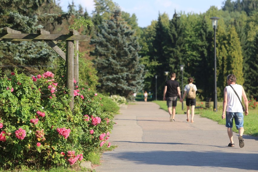 Rosarium w Parku Śląskim wygląda zachwycająco! Byliście tam już tego lata? Koniecznie zobaczcie zdjęcia 