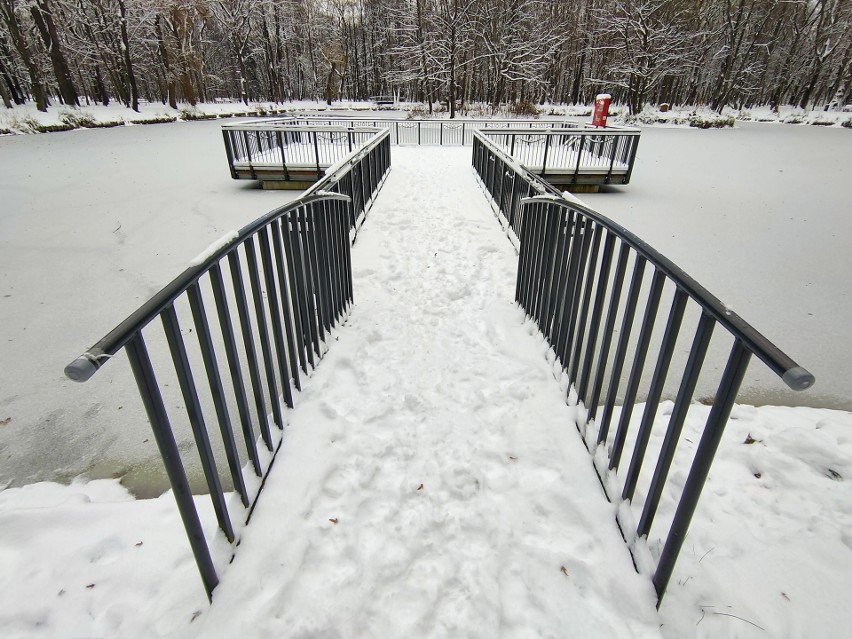 Park Zielona w Dąbrowie Górnicza w zimowej odsłonie...