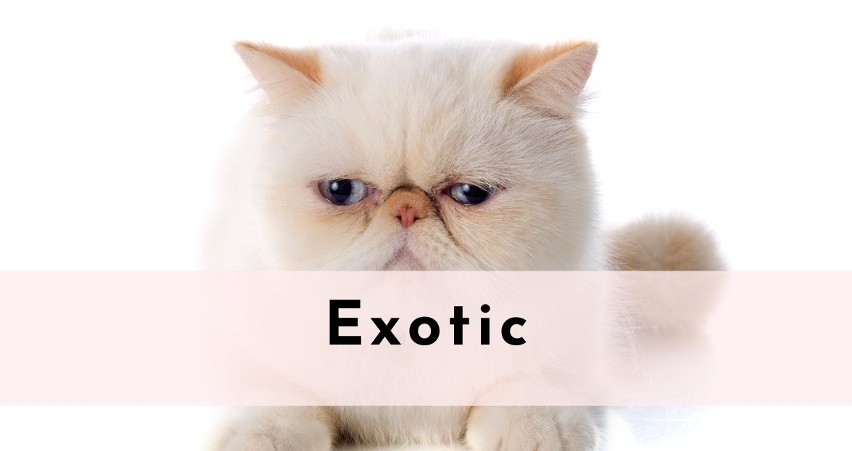 Exotic...