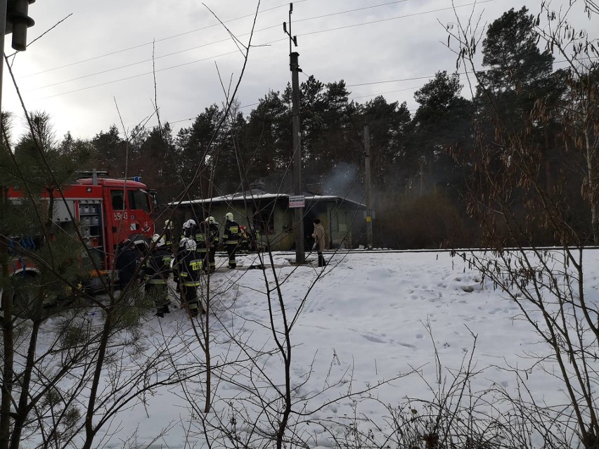 Pożar domu w powiecie niżańskim. Zginęła kobieta (zdjęcia)