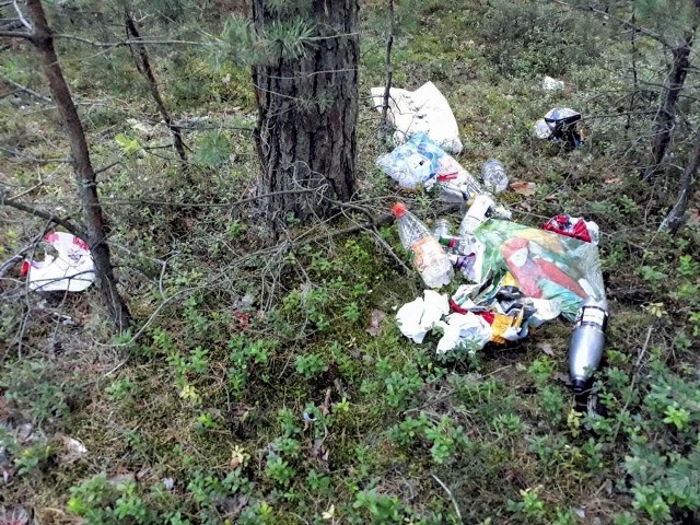 Krasne to najbardziej zaśmiecony las w okolicach Biłgoraja