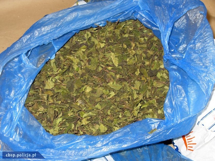 Narkotyki: Lubelskie CBŚ zatrzymało kolejny ładunek KHAT-u