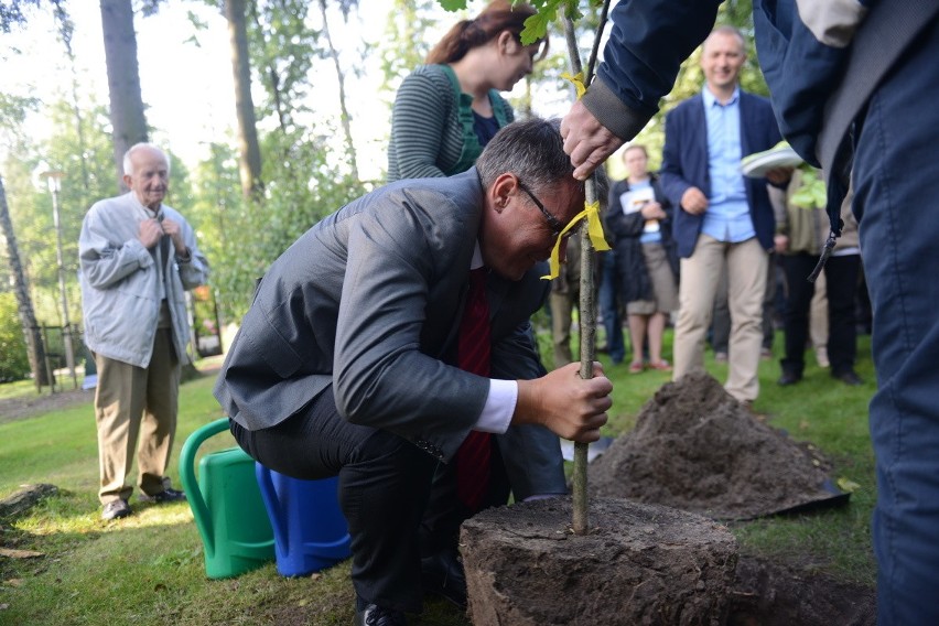 Sadzenie potomka dębu Napoleona w Ogrodzie Botanicznym w...