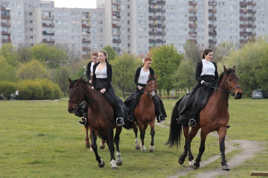 Piknik w parku na osiedlu AK w Opolu.