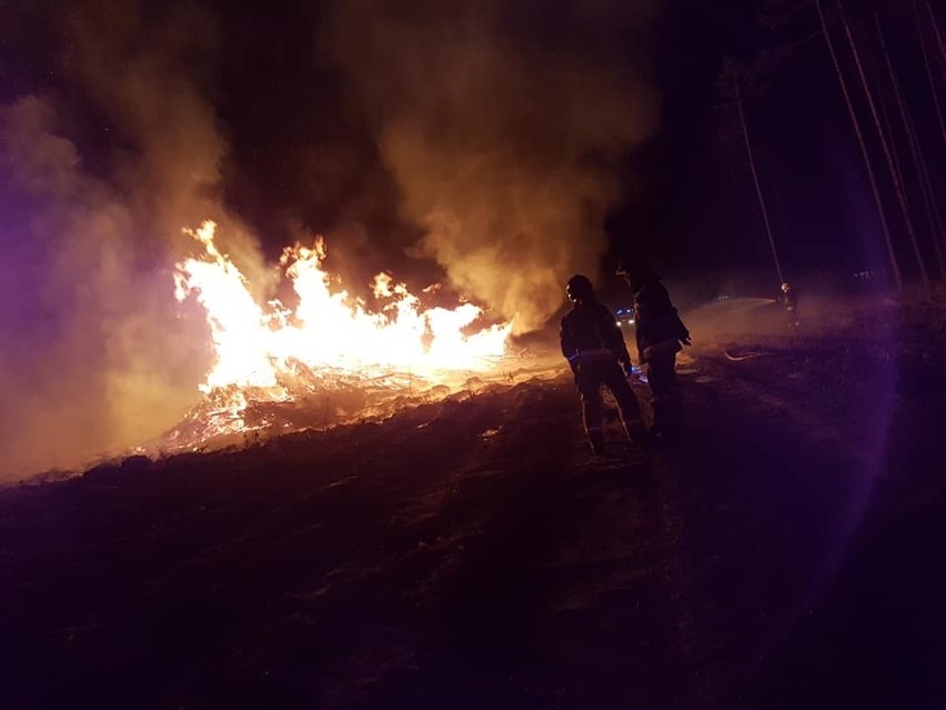 Pożar w Lubni 12.04.2020 r. Paliła się sterta drewna. Wielka łuna ognia nad lasem. Na miejscu 16 zastępów straży pożarnej