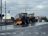 Protest rolników w Pabianicach. Przez miasto przejechało czterdzieści ciągników