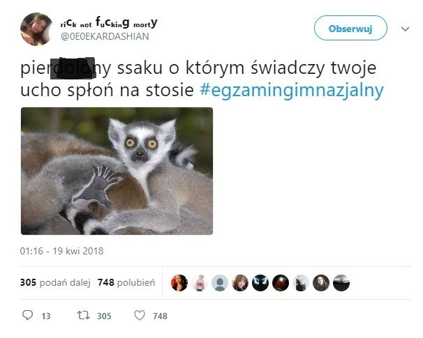 W serwisie Twitter od czwartku pojawiają się nieprzychylne lemurom wpisy, w tym groźby