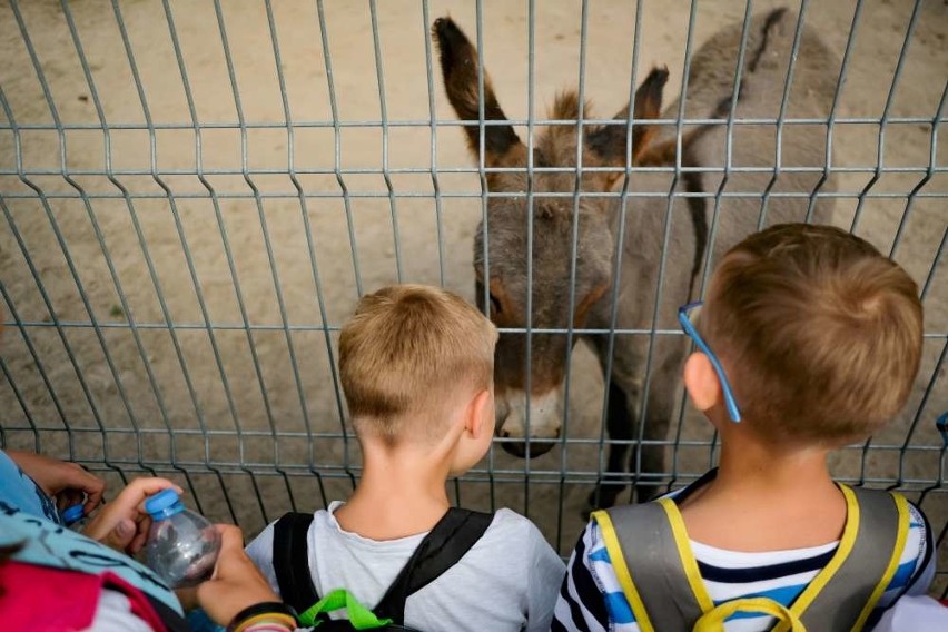 „Uśmiechnięty dzień” z „Głosem” w DELI Parku