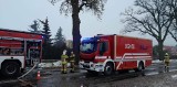 Pożar domu jednorodzinnego w Borównie pod Bydgoszczą. Strażacy walczyli z ogniem do rana [zdjęcia]