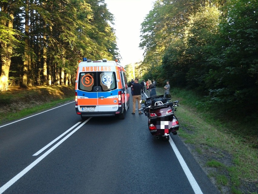 Zderzenie motocyklisty z sarną (zdjęcia)