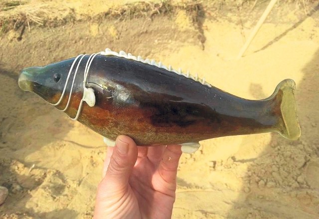 Wyjątkowe znalezisko podczas badań archeologicznych w Czarnówku - szklana ryba w bardzo dobrym stanie.