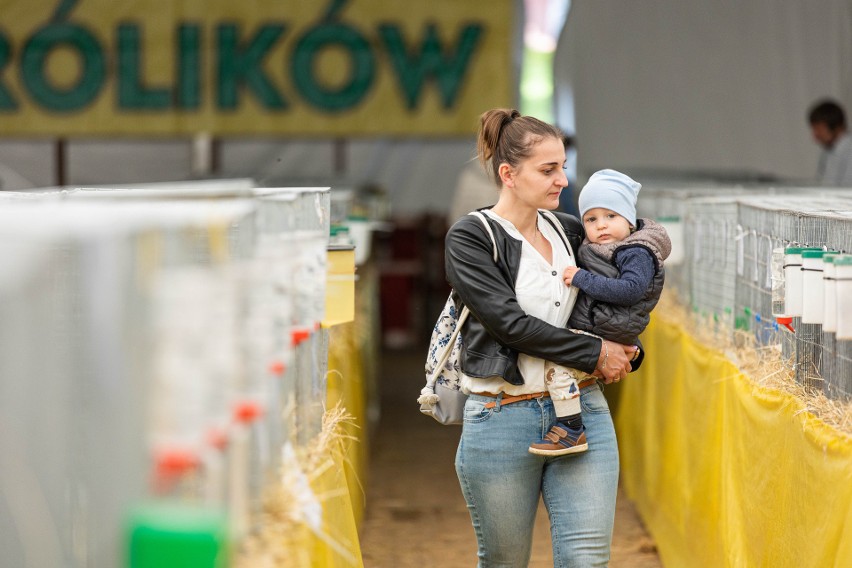 Setki królików na wystawie w PODR w Boguchwale, a do tego wino, żywność ekologiczna i wiele innych atrakcji. Zobaczcie zdjęcia