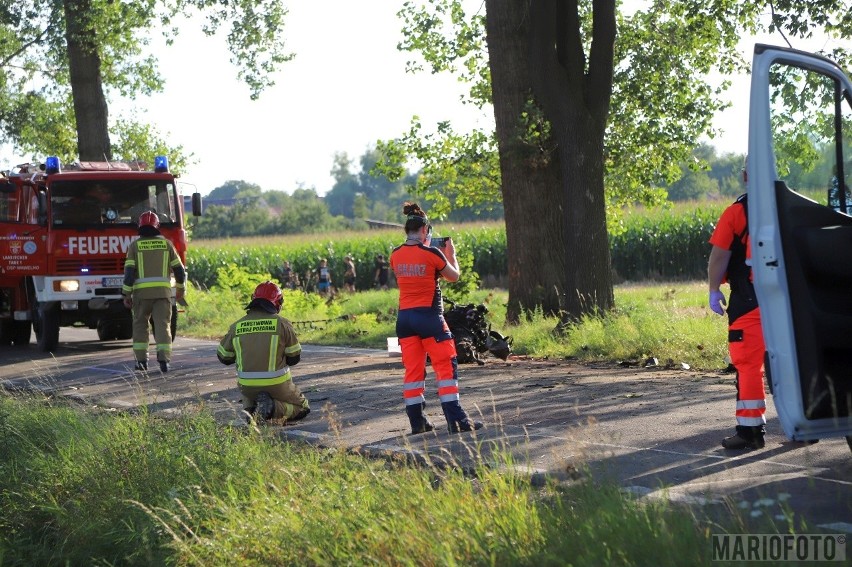 Wypadek w Wawelnie pod Opolem. Samochód wjechał do rowu