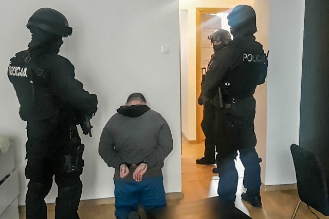 Policjanci z wydziału do walki z przestępczością narkotykową namierzyli, zatrzymali i aresztowali mężczyznę, który miał przy sobie duże ilości narkotyków. W zatrzymaniu uczestniczyła nieetatowa grupa realizacyjna z zielonogórskiej komendy.Policjanci z wydziału do walki z przestępczością narkotykową KMP w Zielonej Górze dostali informacje, że pewien mieszkaniec Zielonej Góry może posiadać w swoim mieszkaniu znaczne ilości narkotyków: marihuany i amfetaminy. Policjanci ustalili dokładny adres zamieszkania mężczyzny, a następnie podjęli decyzję o jego zatrzymaniu i przeszukaniu mieszkania. Do zatrzymania mężczyzny zaangażowana została tzw. nieetatowa grupa realizacyjna.Podejrzany został zatrzymany na jednej z ulic miasta, gdy wraz z innymi osobami jechał samochodem. Był kompletnie zaskoczony. Wraz z nim zatrzymano także jego konkubinę. Po zatrzymaniu wszyscy pojechali do wynajmowanego przez parę mieszkania. Na miejsce zostali wezwani także funkcjonariusze straży granicznej wraz z psem do wykrywania narkotyków. W mieszkaniu podczas przeszukania znaleziono ponad pół kilograma marihuany, prawie 250 gramów amfetaminy i 2 tabletki ekstazy. Badania wykonane testerami narkotykowymi potwierdziły, że zabezpieczone substancje – susz roślinny i biały proszek - to narkotyki. Mundurowi zabezpieczyli w mieszkaniu także wagi elektroniczne i telefony komórkowe. Zatrzymani kobieta i mężczyzna zostali przewiezieni na przesłuchanie do Komendy Miejskiej Policji w Zielonej Górze. Usłyszeli zarzuty posiadania znacznych ilości środków odurzających i usiłowania wprowadzenia ich do obrotu. Za te przestępstwa grozi kara pozbawienia wolności do lat 10.Decyzją prokuratora kobieta została objęta policyjnym dozorem, a także musiała wpłacić poręczenie majątkowe. Natomiast w stosunku do mężczyzny prokurator rejonowy w Zielonej Górze wystąpił do sądu z wnioskiem o tymczasowe aresztowanie.  Sąd Rejonowy w Zielonej Górze przychylił się do wniosku i 31-latek trafił do aresztu na trzy miesiące. oprac. (korn), źródło: mat. policjiPrzeczytaj też:   Pisarz z kałasznikowem sterroryzował gorzowską akademię 