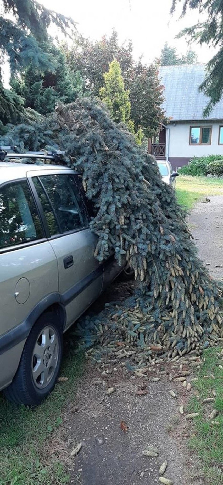 W mieście pracują służby komunalne i strażacy. Usuwają...