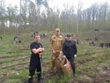 Akcja #ŁącząNasDrzewa w Nadleśnictwie Starogard. Strażacy ze Starogardu Gdańskiego zasadzili kilkanaście tysięcy drzew
