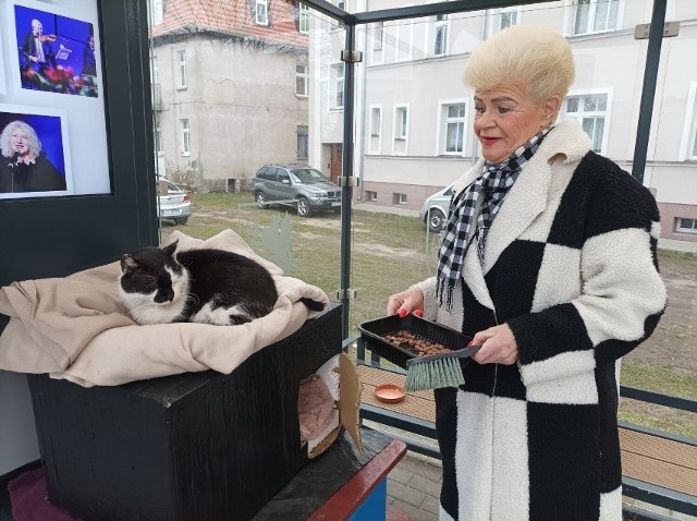 Pani Jolanta Biernacka opiekuje się przystankowym kotem ze Szczecinka od 10 lat