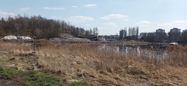 W obrębie rekultywowanego stawu znajdzie się miejsce dla placu zabaw, boiska do piłki nożnej, boiska wielofunkcyjnego, siłowni terenowej, wybiegu dla psów oraz skateparku.