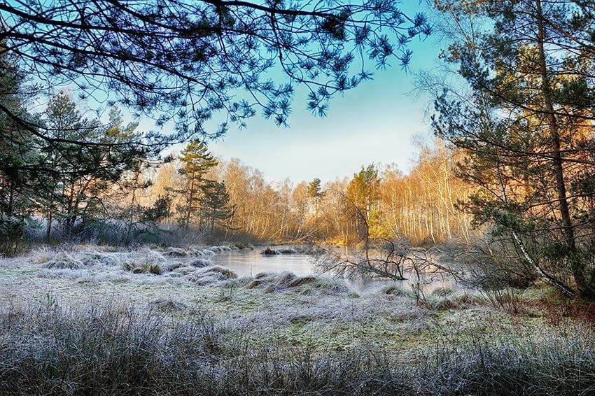 Rezerwat przyrody Broduszurki koło Dubiecka w powiecie przemyskim, to wyjątkowe miejsce na mapie Podkarpacia [ZDJĘCIA]