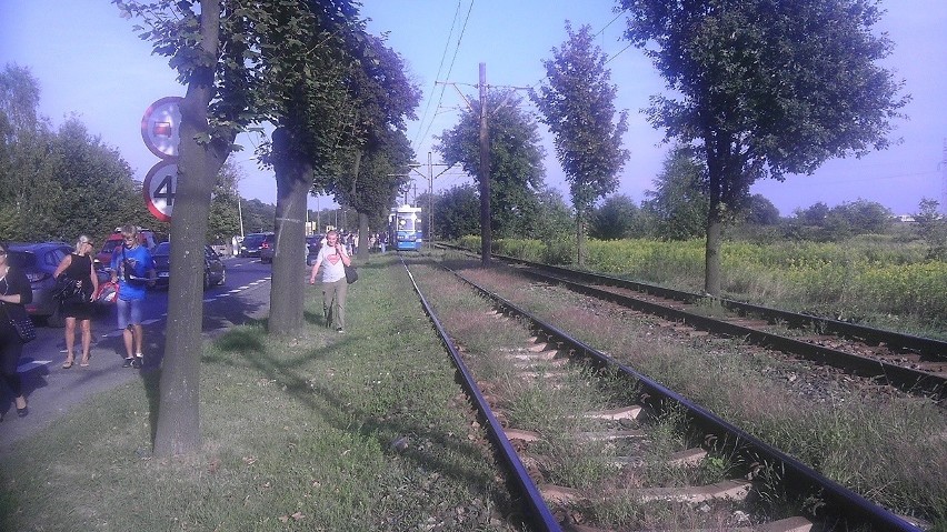 Wrocław: Korek tramwajowy w kierunku Leśnicy. Zepsuł się tramwaj linii 10 (ZDJĘCIA)