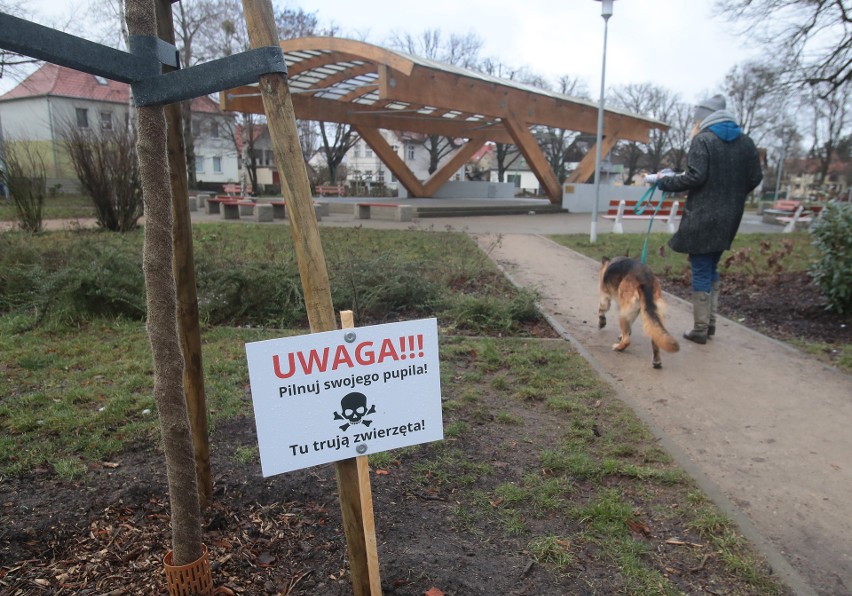 Na skwerze pojawiła się tabliczka z informacją, że doszło tu...