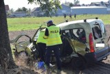 Wypadek w Żelazkowie niedaleko Gniezna - dwie osoby zostały ranne. Droga wojewódzka nr 260 była zablokowana