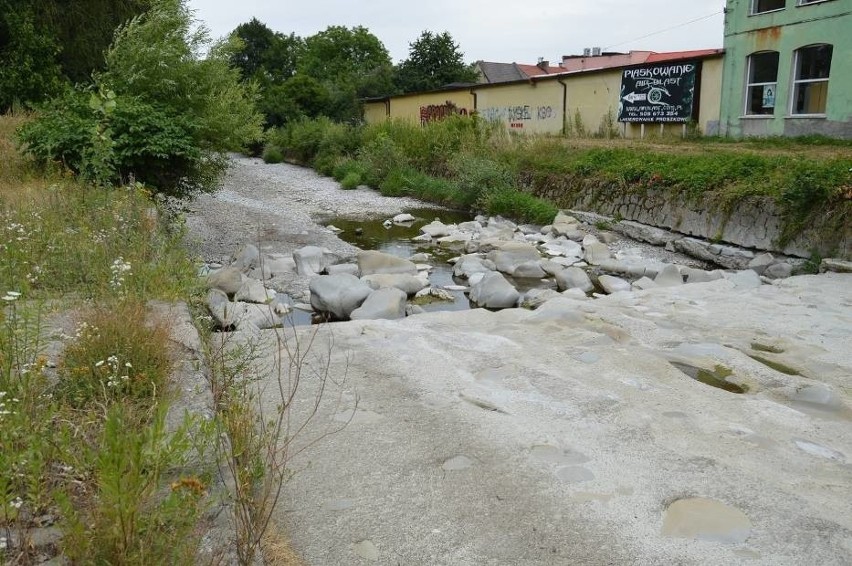 Wieprzówka w Andrychowie swoim wyglądem przypomina raczej...