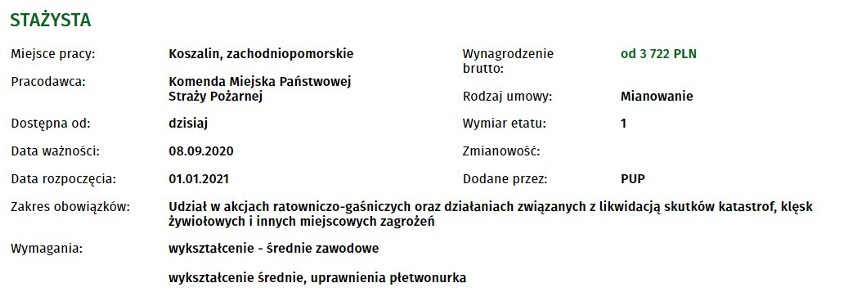 Prawie 50 ofert pracy w Koszalinie i okolicach! Sprawdź!