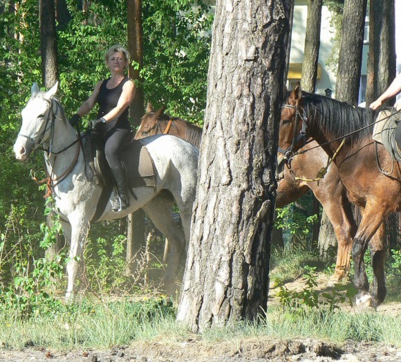 Już niebawem w okolicznych lasach pojawią się jeźdźcy na koniach. Będą to miłośnicy wypoczynku w siodle, którzy wyruszą w teren z odrodzonej stadniny w Łobzie.