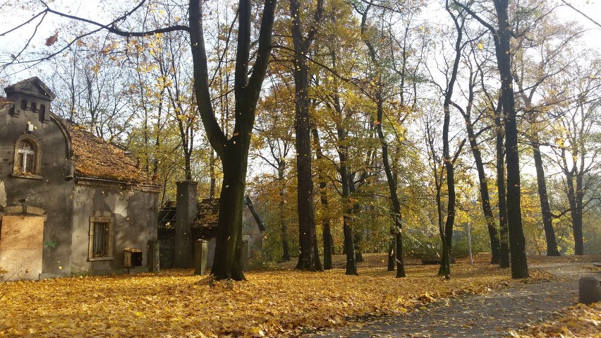 Jesień w Parku Zamkowym w Mysłowicach