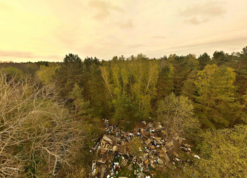 Nielegalne składowisko odpadów w lesie w zachodniej części...