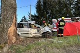 Śmiertelny wypadek w Ciechanowicach na Dolnym Śląsku. Kierowca uderzył w drzewo
