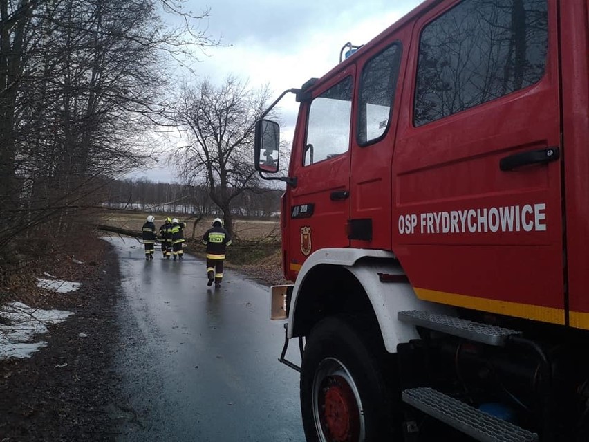 4.02.2021 Strażacy usuwali drzewo, które runęło na drogę we...