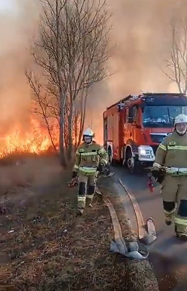 Przerażający pożar traw w gminie Ćmielów. Strażacy walczyli kilka godzin. Zobaczcie zdjęcia i film