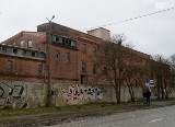 Ostatni taki budynek po dawnej Cukrowni Szczecin. Czy suszarnia zostanie wyburzona?