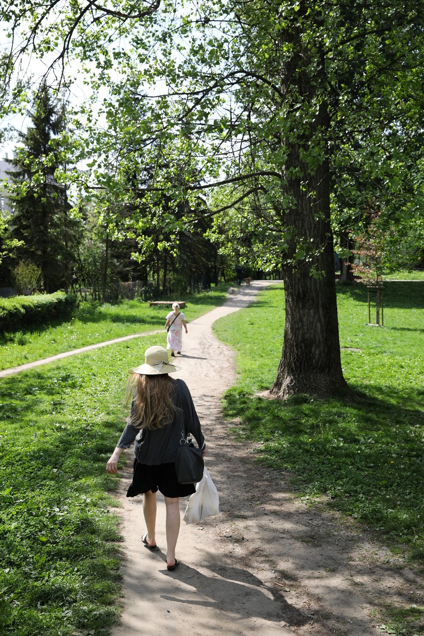 Park Młynówka Królewska