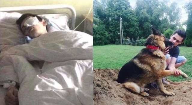 Rafał w szpitalu w Lublinie, gdzie okazało się, że spustoszenia, jakie wywołał odłamek sprawiły, że chłopiec stracił oko, obok bawi się ze swoim wilczurem