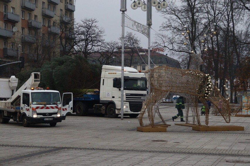 Na placu Biegańskiego w Częstochowie stanęła choinka. Zobacz...