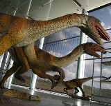 Stowarzyszenie Dinopark może odzyskać część straconych pieniędzy 