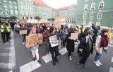 Młodzieżowy Strajk Klimatyczny w piątek w Szczecinie. Zmiany w komunikacji miejskiej i utrudnienia w ruchu