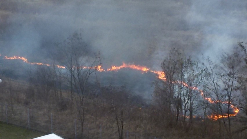 Pożar traw w Sosnowcu-Milowicach