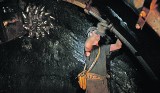 Trzeba zwiększyć import węgla z Rosji: Konferencja „Górnictwo” w MCK w Katowicach ZDJĘCIA